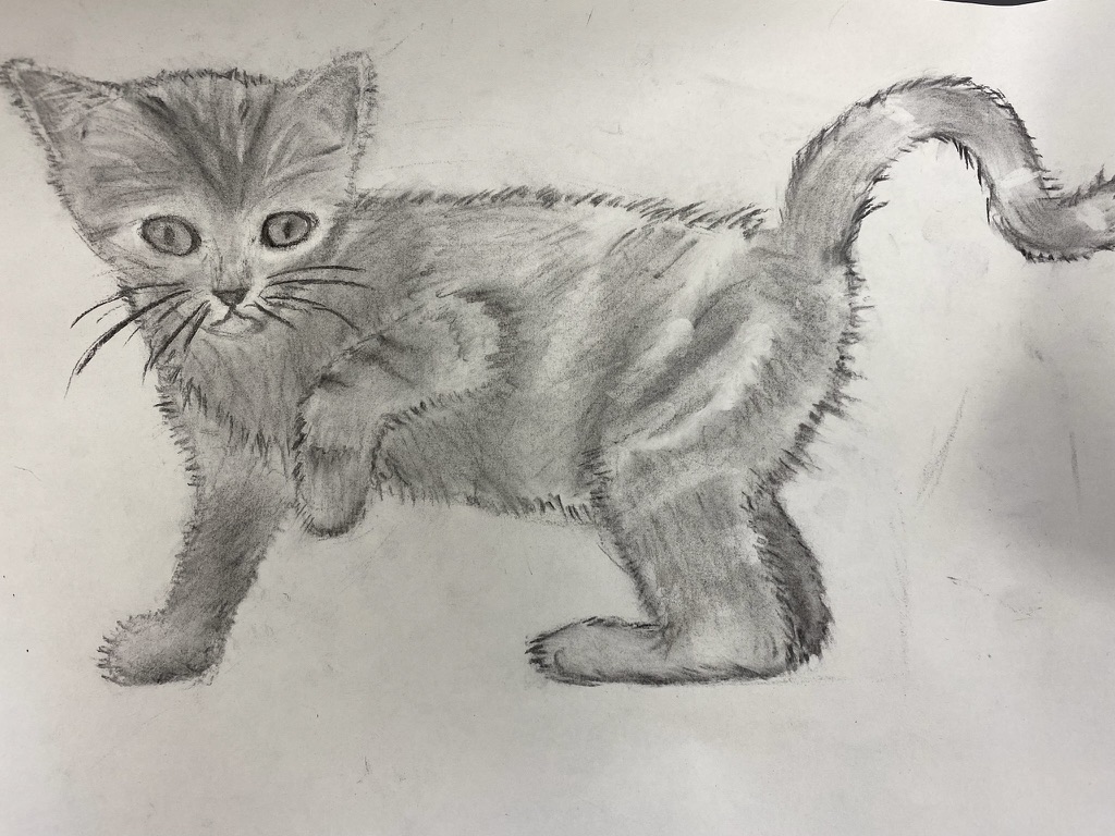 Dessin d'enfant : chaton en profil au crayon